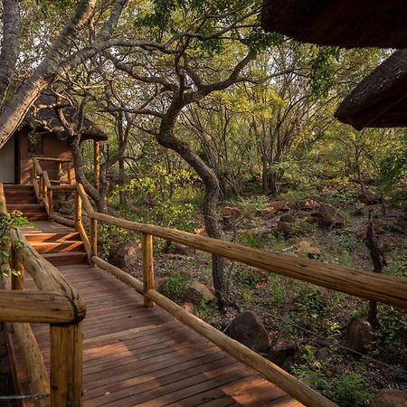 Tshwene Lodge 法尔瓦特 外观 照片