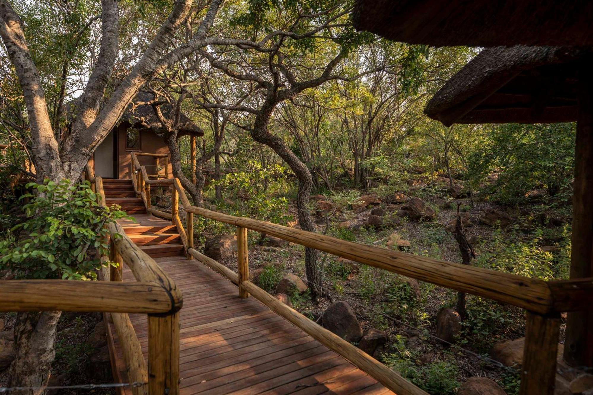 Tshwene Lodge 法尔瓦特 外观 照片